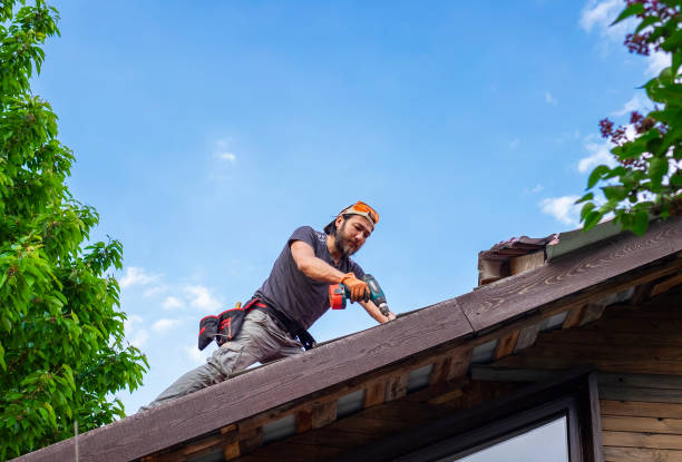 Best Roof Leak Repair  in Lipatria, CA